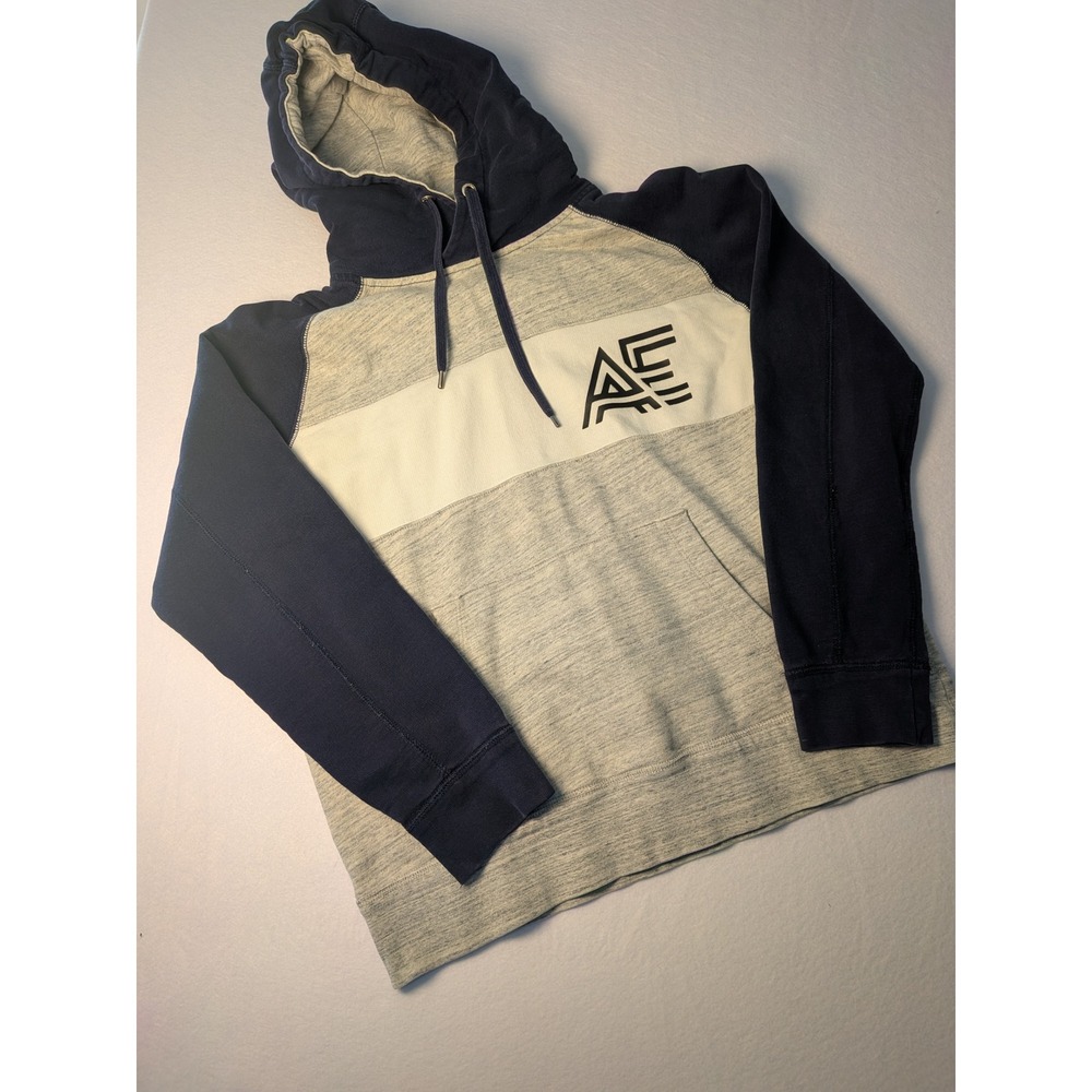American‎ Eagle Mens LG Colorblock Pullover Hoodie Gray Navy Blue AE Graphic